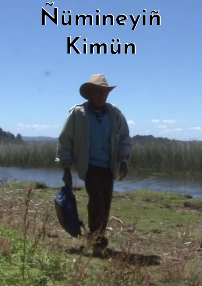 Ñümineyiñ Kimün