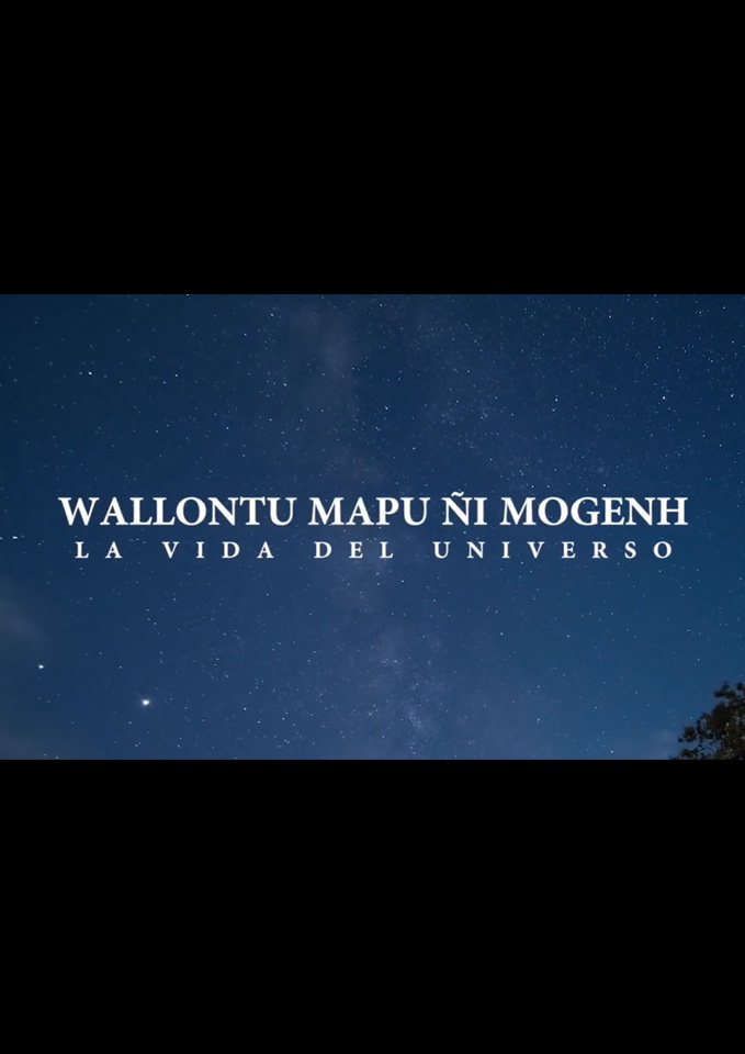 Wallontu Mapu Ñi Mongen